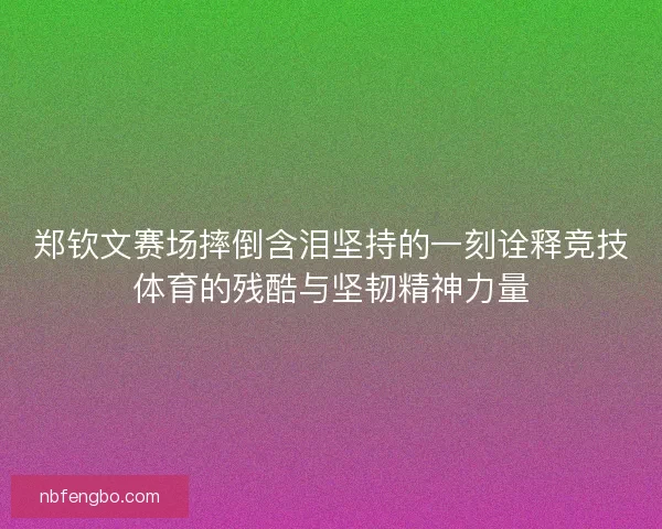 郑钦文赛场摔倒含泪坚持的一刻诠释竞技体育的残酷与坚韧精神力量