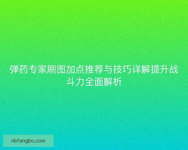 弹药专家刷图加点推荐与技巧详解提升战斗力全面解析