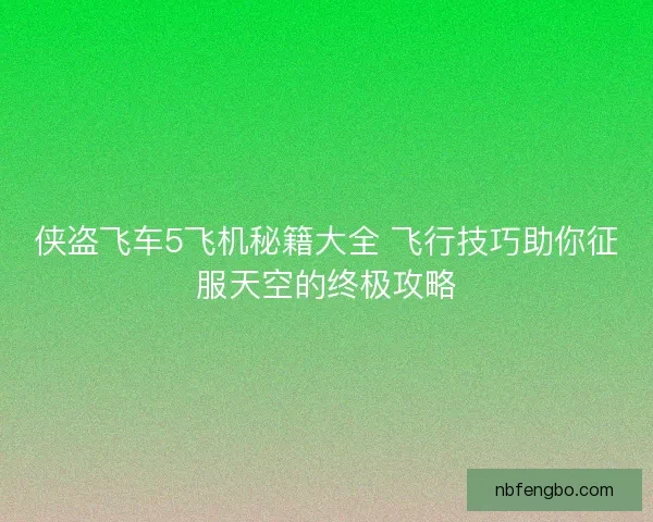 侠盗飞车5飞机秘籍大全 飞行技巧助你征服天空的终极攻略