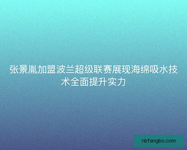 张景胤加盟波兰超级联赛展现海绵吸水技术全面提升实力