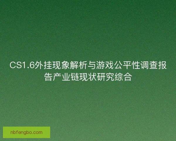 CS1.6外挂现象解析与游戏公平性调查报告产业链现状研究综合