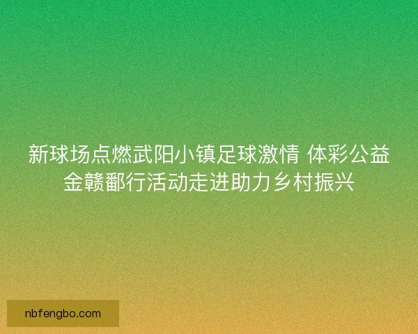 新球场点燃武阳小镇足球激情 体彩公益金赣鄱行活动走进助力乡村振兴 新球场点燃武阳小镇足球激情 体彩公益金赣鄱行活动走进助力乡村振兴