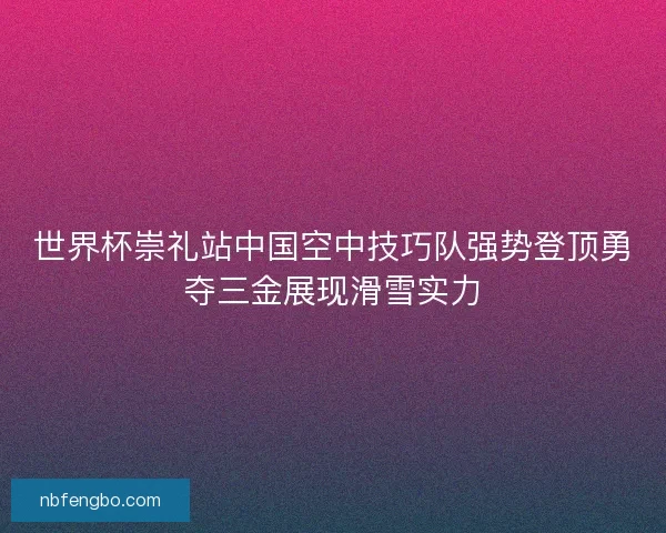 世界杯崇礼站中国空中技巧队强势登顶勇夺三金展现滑雪实力