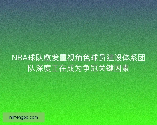 NBA球队愈发重视角色球员建设体系团队深度正在成为争冠关键因素 NBA球队愈发重视角色球员建设体系团队深度正在成为争冠关键因素